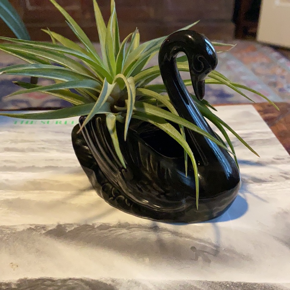 Vintage Black Swan toothpick holder